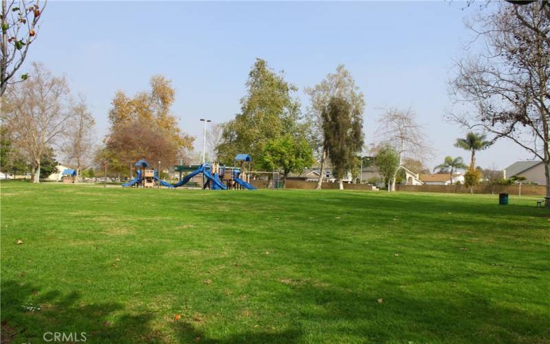 Local Parks