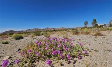 39226 Furst Street, Lucerne Valley, California 92356, ,Land,Buy,39226 Furst Street,HD24113592