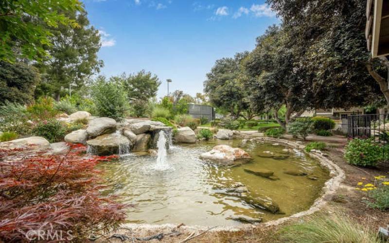 Enjoy a Zen-like environment with the soothing sounds of small waterfalls and running creeks.