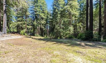 345 Spring Creek Road, Boulder Creek, California 95006, ,Land,Buy,345 Spring Creek Road,ML81968293