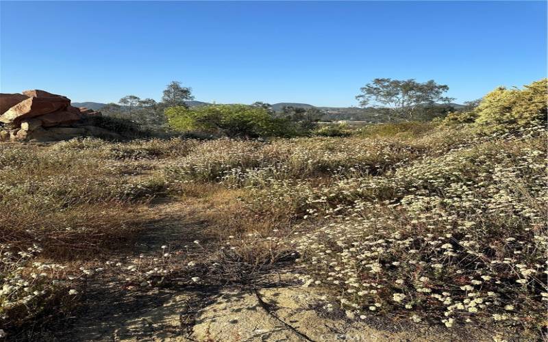 Potential building pad area on APN 360-320-016.