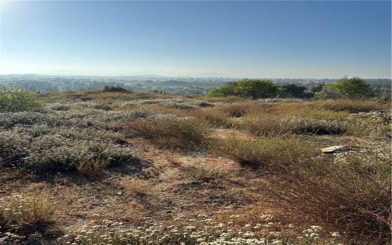 Potential Building pad area for APN 360-320-016.