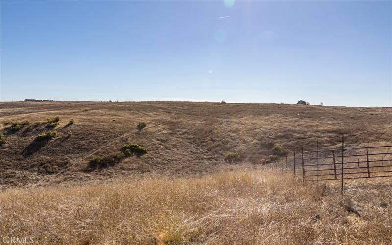 View Looking South from Knoll at SW Corner of Property