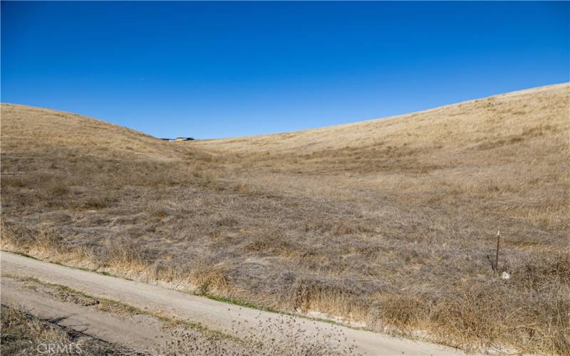 View of Property from Road near SE Corner of Property