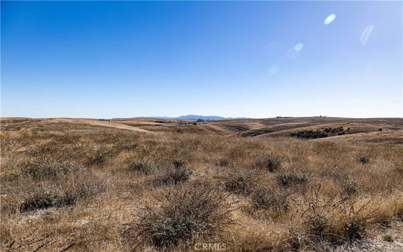 View Looking SE from Upper North Side of property (Possible building sight)