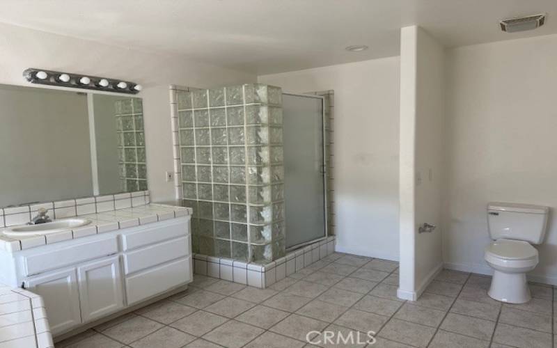 Master Bedroom Bathroom