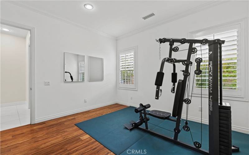 Downstairs Bedroom/Gym