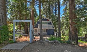 31537 Silver Spruce Dr.