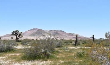 3900 Sunset Ave & vic 40th St, Mojave, California 93501, ,Land,Buy,3900 Sunset Ave & vic 40th St,SR24114711