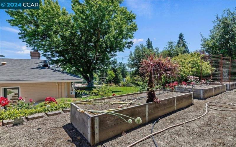 Raised Organic Garden Beds with Irrigation
