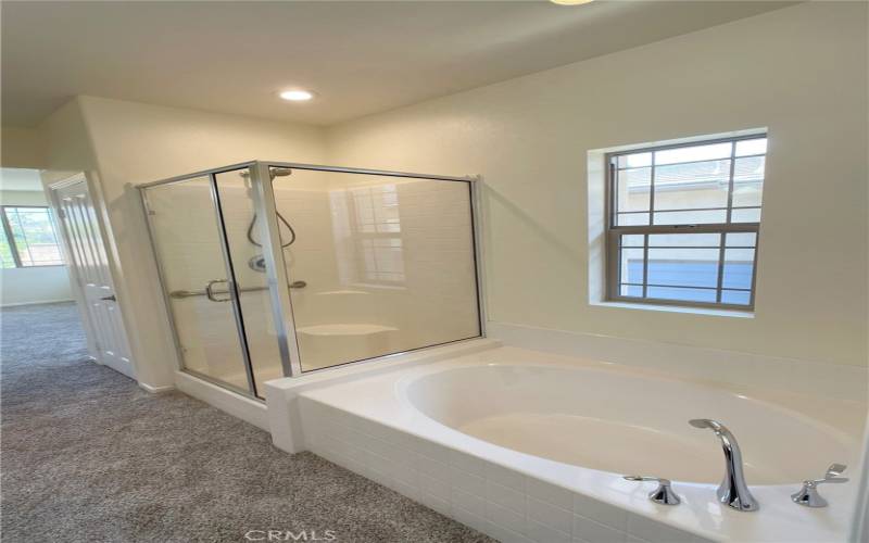 En Suite Shower/Tub