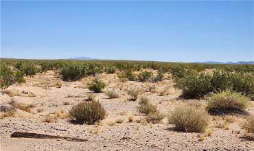 500 Harrod Road, Lucerne Valley, California 92356, ,Land,Buy,500 Harrod Road,HD24115489