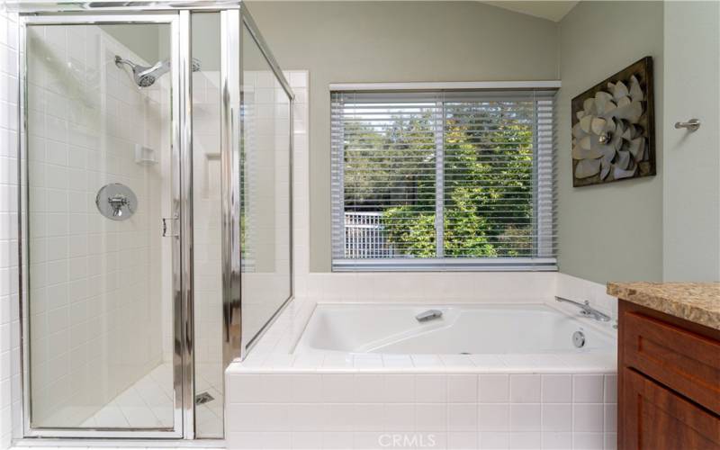 Separate shower and large soaking tub with handles!