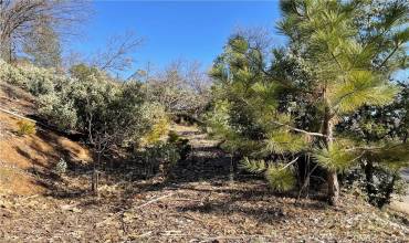 59479 Cascadel Drive, North Fork, California 93643, ,Land,Buy,59479 Cascadel Drive,FR24116016