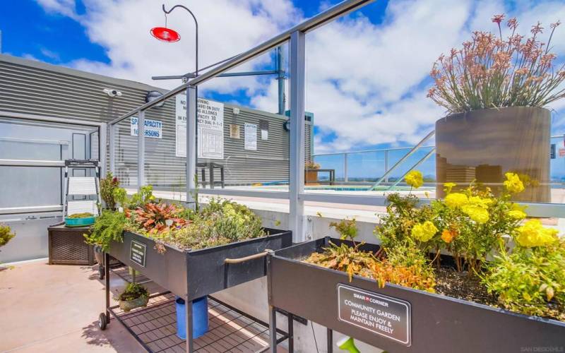Common Area Rooftop: BBQ, Dining Areas, Sun Deck with chaises, Community Herb/Flower Gardens, Hot tub for 10 people and outdoor seating ....all with OUTSTANDING PANORAMIC VIEWS!
