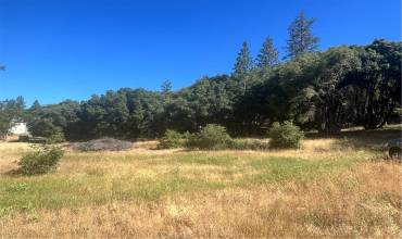 6065 Monte Vista Lane, Mariposa, California 95338, ,Land,Buy,6065 Monte Vista Lane,MP24115400