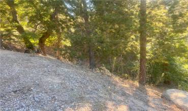 3300330 50000 Elder Drive, Cedar Glen, California 92321, ,Land,Buy,3300330 50000 Elder Drive,HD23128009