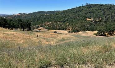 19600 Cantwell Ranch Road, Lower Lake, California 95457, ,Land,Buy,19600 Cantwell Ranch Road,LC24116605