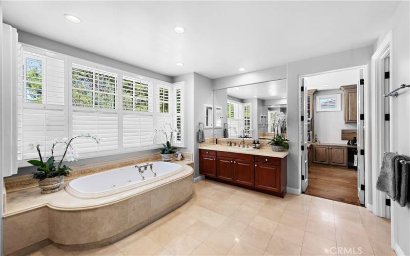Master bath with spa tub and large walk-in closet.