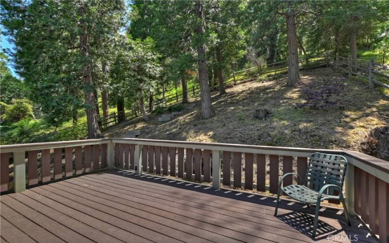 Large deck off primay bedroom looks over the back yard