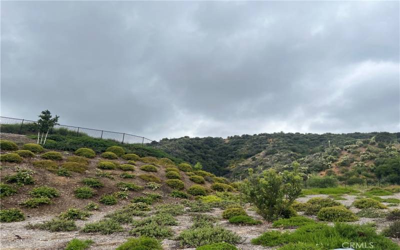 The Cleveland National Forest is across the street