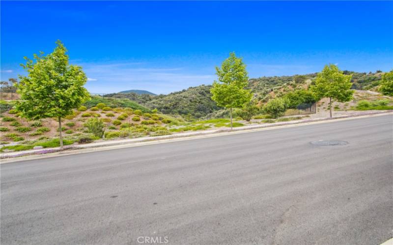 Single-loaded street no homes across from the property