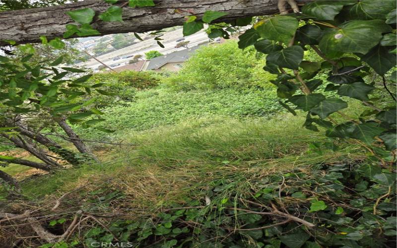 View looking down the hill to the grassy area