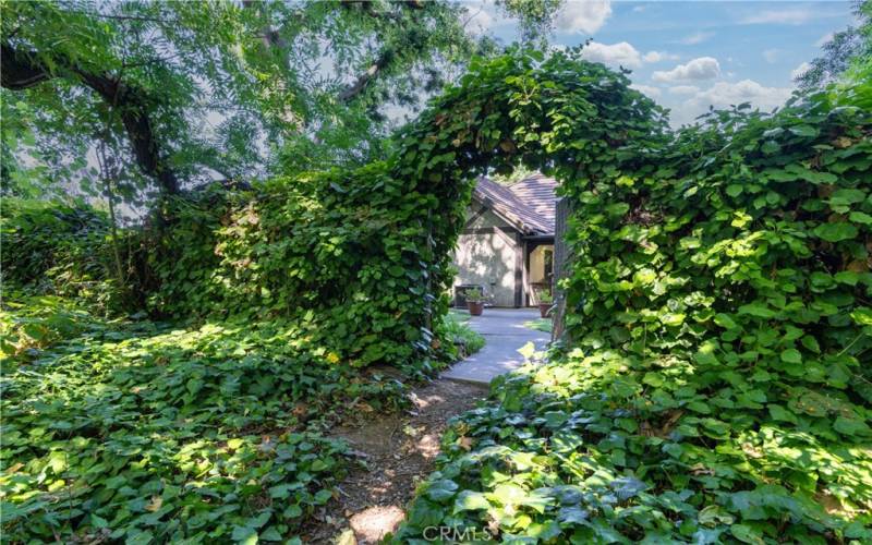 Hidden pathway from Bidwell Park to back yard gate.