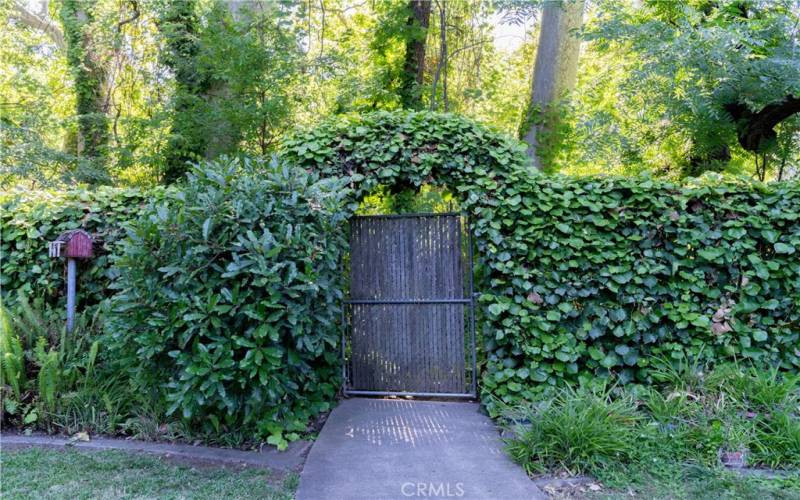 Backyard gate to Bidwell Park