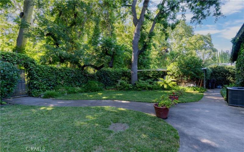 Back Yard with gate into Bidwell Park