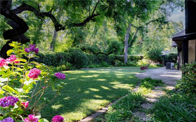 Beautiful backyard