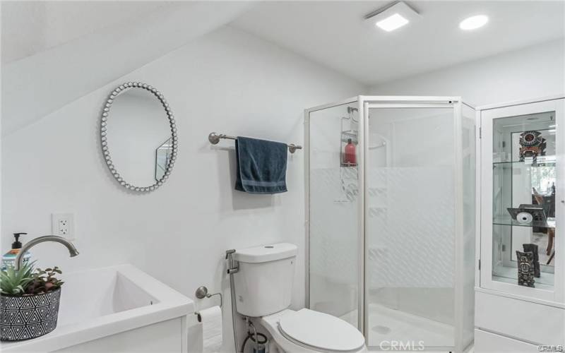 22819  Mariano- Downstairs Updated Bathroom -