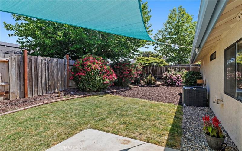 Low maintenance yard with shaded patio.