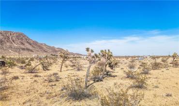 123 Lorraine Avenue, Landers, California 92285, ,Land,Buy,123 Lorraine Avenue,JT24118868