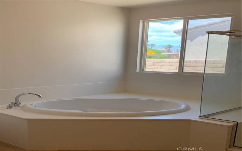 Primary Bathroom - Oval Tub