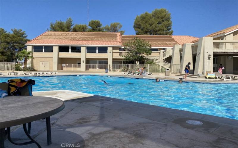 Olympic size pool at the Club House.