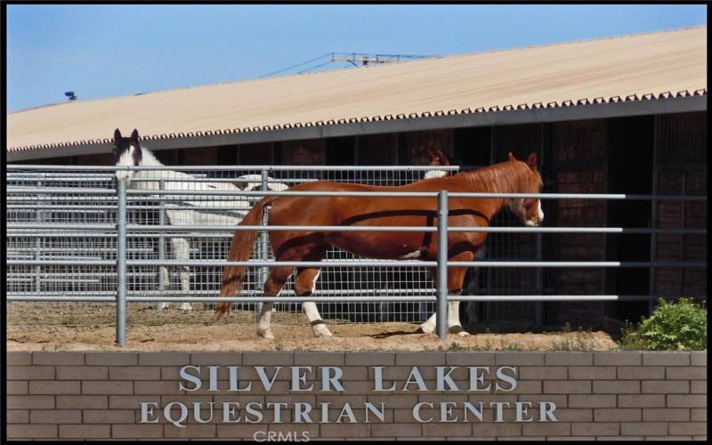 Got horses?  The Equestrian Center offers stalls and lighted working arenas.