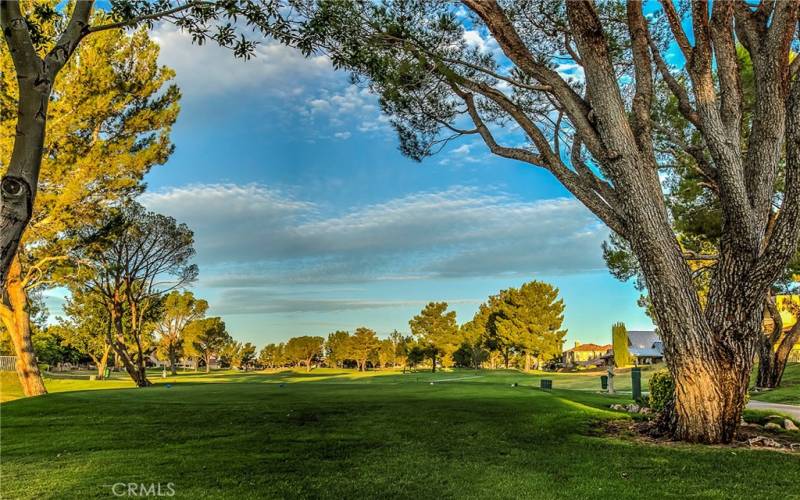 One view from the North Course