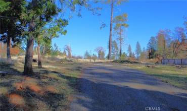 14186 Norwich Circle, Magalia, California 95954, ,Land,Buy,14186 Norwich Circle,PA24008372