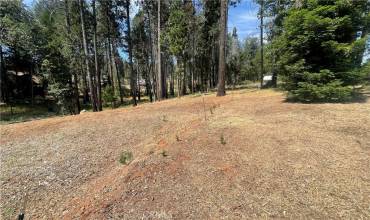 13937 Chestnut Circle, Magalia, California 95954, ,Land,Buy,13937 Chestnut Circle,SN24120350