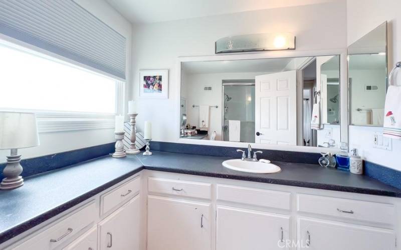 Master Bathroom Vanity View 1