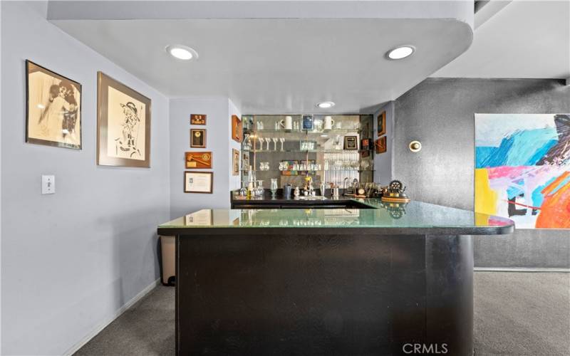 Entertaining Wet Bar