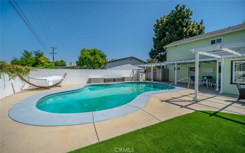 Backyard Pool