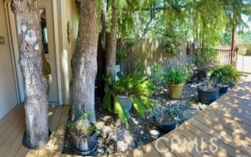 Garden area, door to the left leads into a work shop