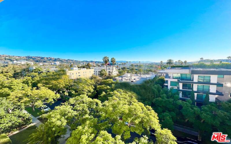 Hollywood hills and tree top view from unit