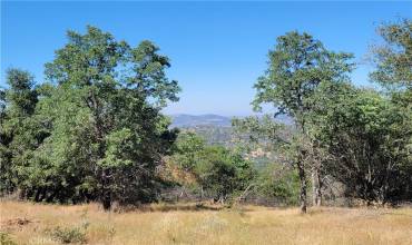 5587 Alta Vista Road, Mariposa, California 95338, ,Land,Buy,5587 Alta Vista Road,MC24120363