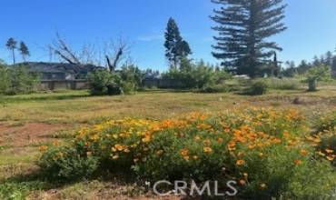 1307 Nunnelly Road, Paradise, California 95969, ,Land,Buy,1307 Nunnelly Road,SN24122605