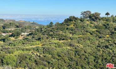 0 Fir Ridge Drive, Topanga, California 90290, ,Land,Buy,0 Fir Ridge Drive,24404909