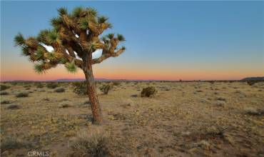 0 Mars Street, Joshua Tree, California 92252, ,Land,Buy,0 Mars Street,JT24123449