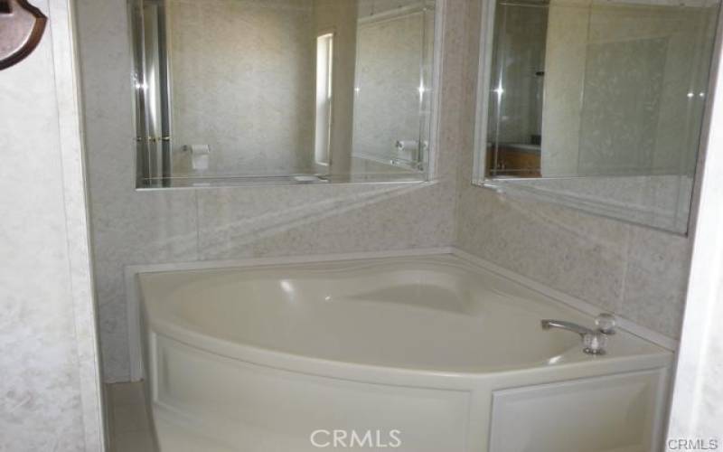 Primary Soaking Tub